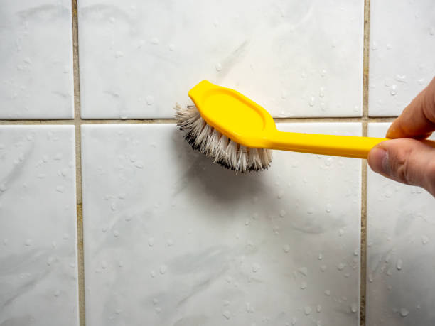 Best Mold Testing  in St Croix Falls, WI
