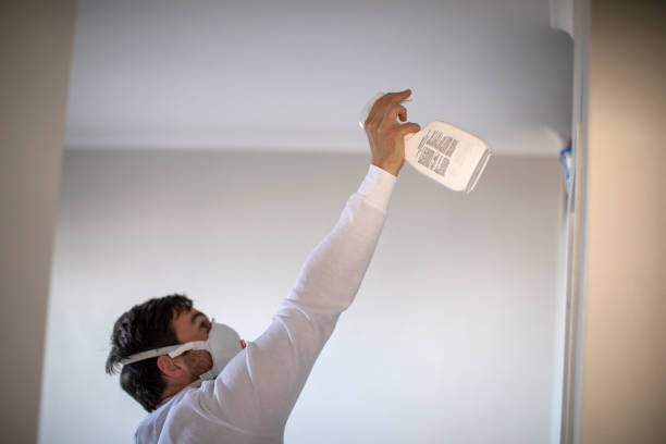 Best Commercial Mold Removal  in St Croix Falls, WI